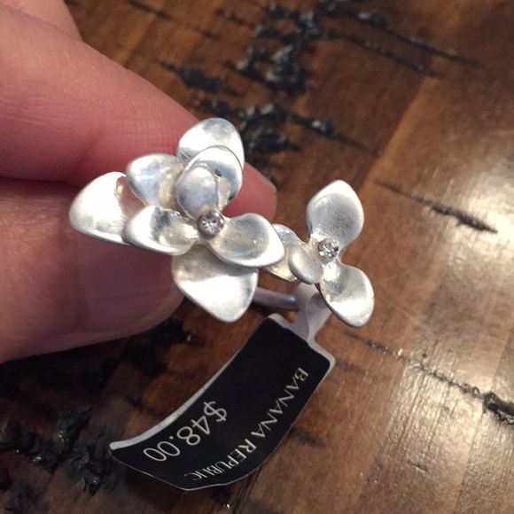 Banana Republic Gorgeous Matte Silver Tone Ring. - Picture 2 of 6